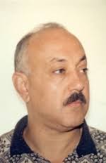 Prof Mohamed Mekkawy